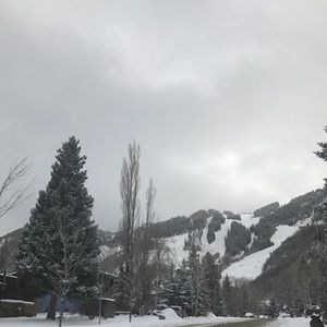 Meet your Posher, Ella